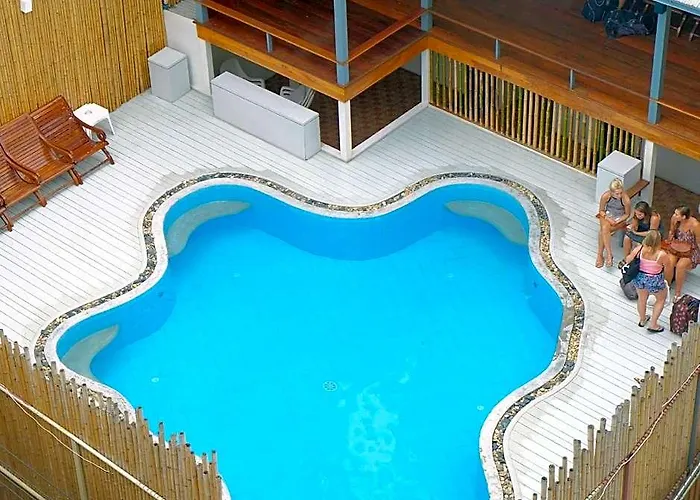 Wild Orchid 3*